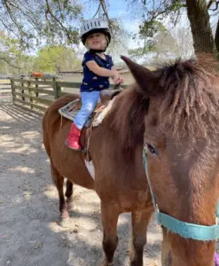 Pony Rides at Lawton Stables in Sea Pines