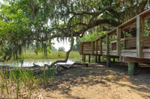 Sea Pines Forest Preserve